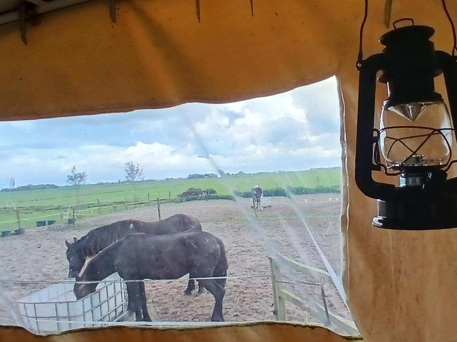 ホテル De Huifkar, Trekkershut Bij Sneek Hommerts エクステリア 写真