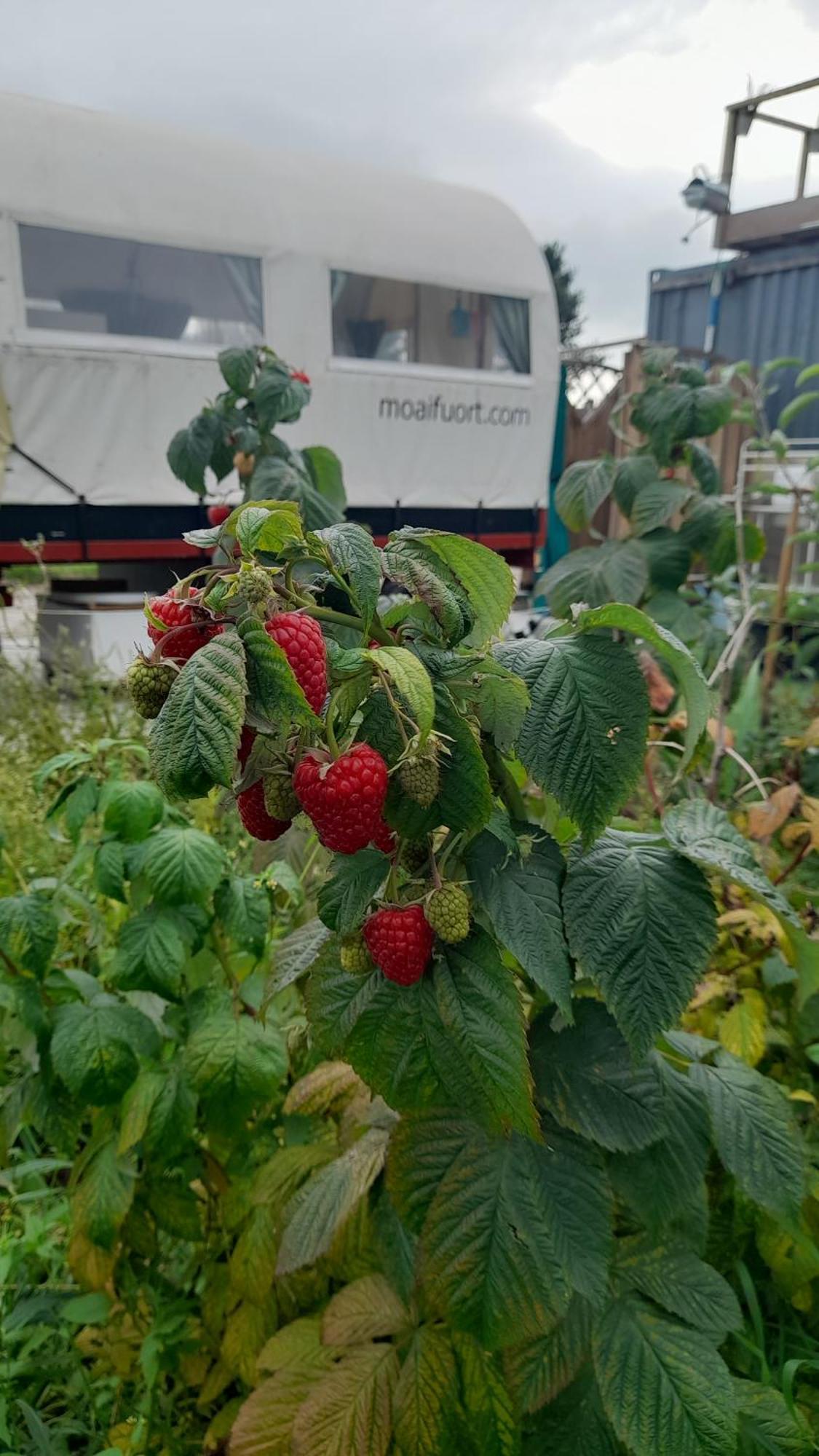 ホテル De Huifkar, Trekkershut Bij Sneek Hommerts エクステリア 写真